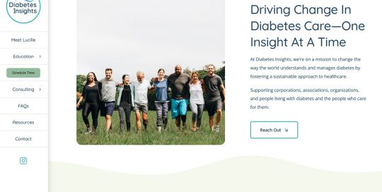 Diabetes Insights LLC website home page