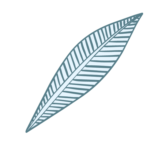 BD_BrandAssets-02