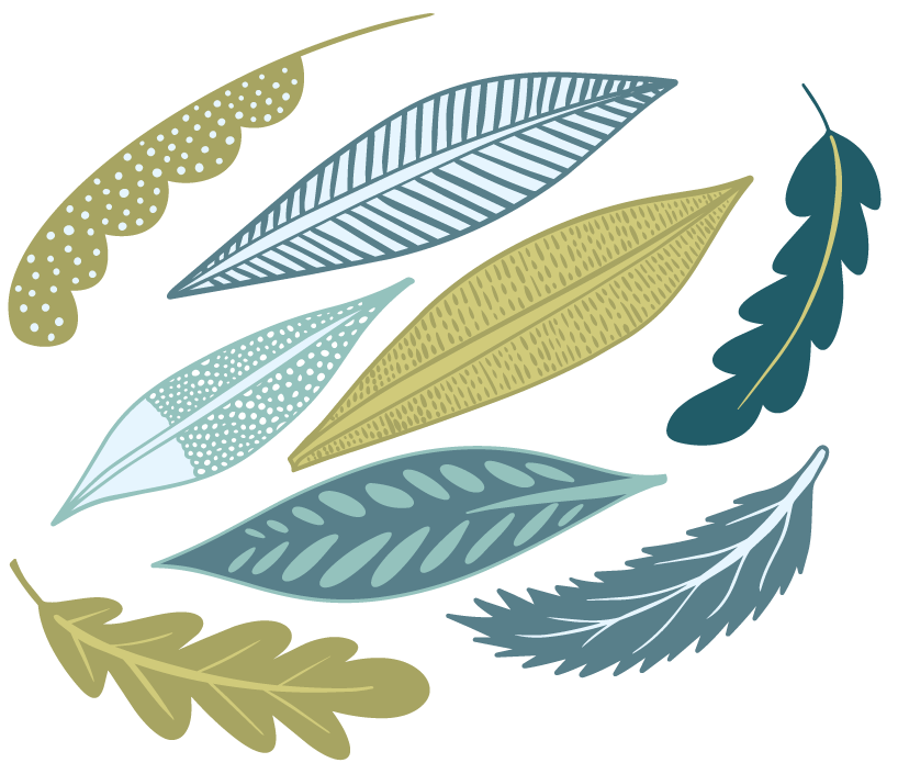 leaves